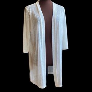 Sheer Open Robe Swimsuit Coverup